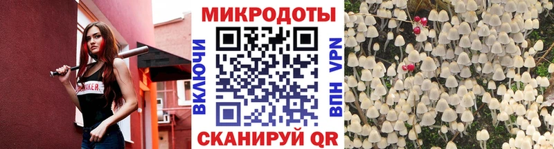 цены наркотик  Гвардейск  Галлюциногенные грибы Psilocybe 
